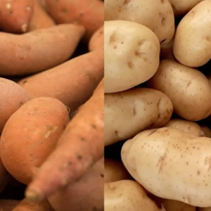 sweet potato vs white potato