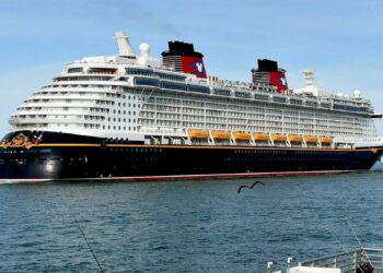 Schockmoment, Kind fällt über Bord eines Disney-Kreuzfahrtschiffs – Vater springt ins Meer 4 Kind Über Bord Kreuzfahrtschiff